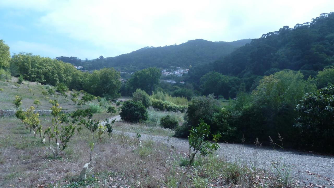 Ribeira Dos Marinheiros Azul Lejlighed Sintra Eksteriør billede