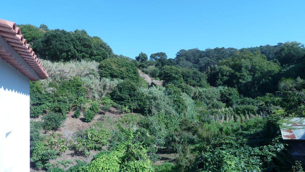 Ribeira Dos Marinheiros Azul Lejlighed Sintra Eksteriør billede